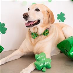 Lulubelles Lick Me I'm Irish Shamrock - Hillbilly House Panthers