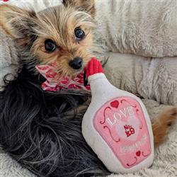 Lulubelles Love Pawtion #K9 Small - Hillbilly House Panthers