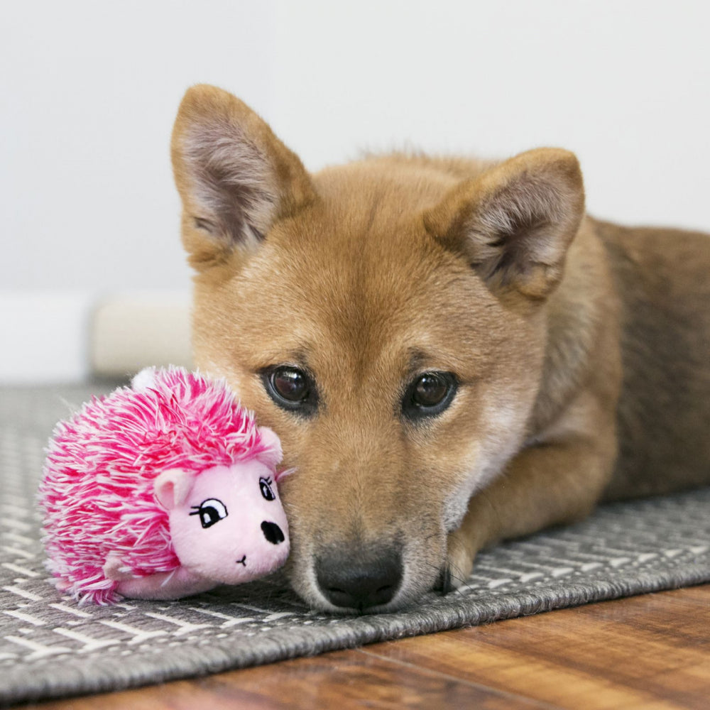 KONG Comfort Hedgehug Puppy X-Small - Hillbilly House Panthers
