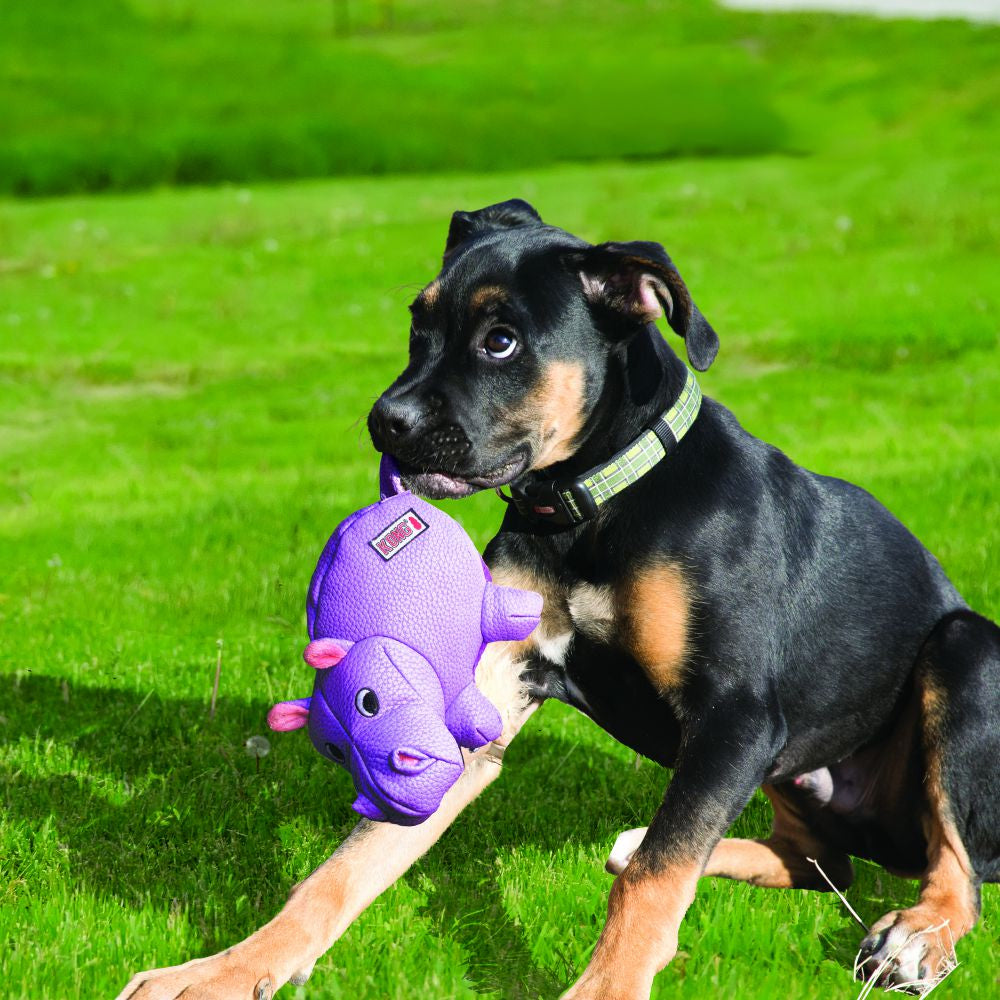 KONG Phatz Hippo X-Small - Hillbilly House Panthers