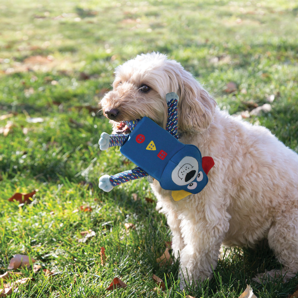 KONG Zillowz Dog Blue Small - Hillbilly House Panthers