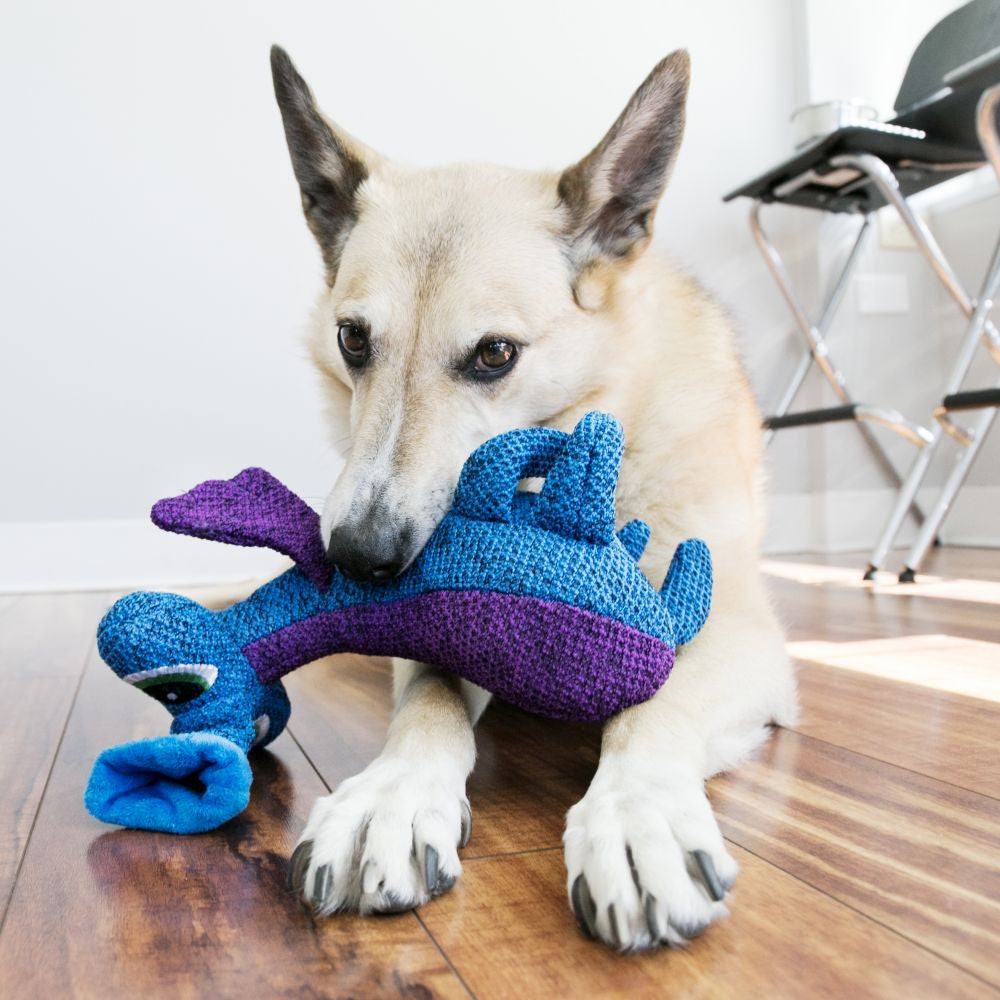 KONG Woozles Blue Medium - Hillbilly House Panthers