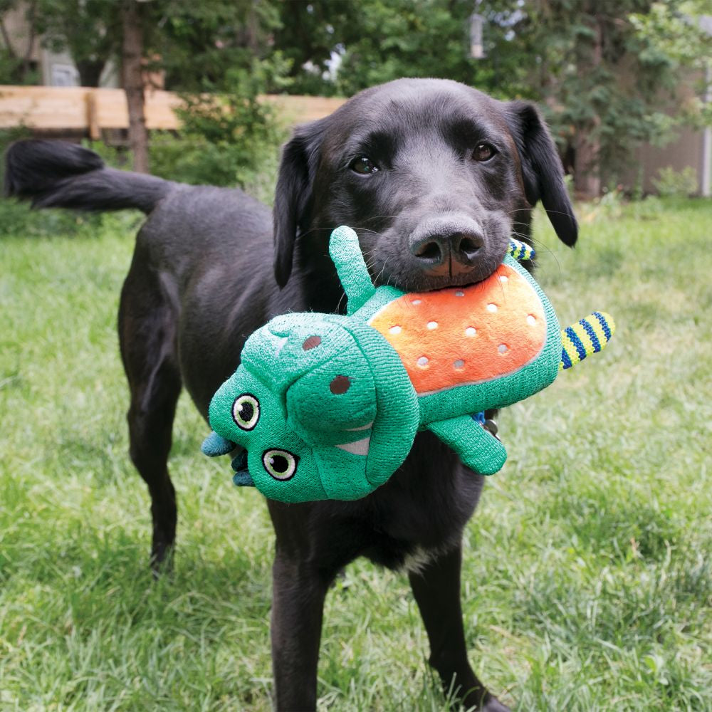KONG Whoopz Warthog Small - Hillbilly House Panthers