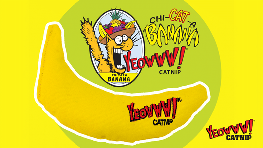 YEOWWW Banana - Hillbilly House Panthers